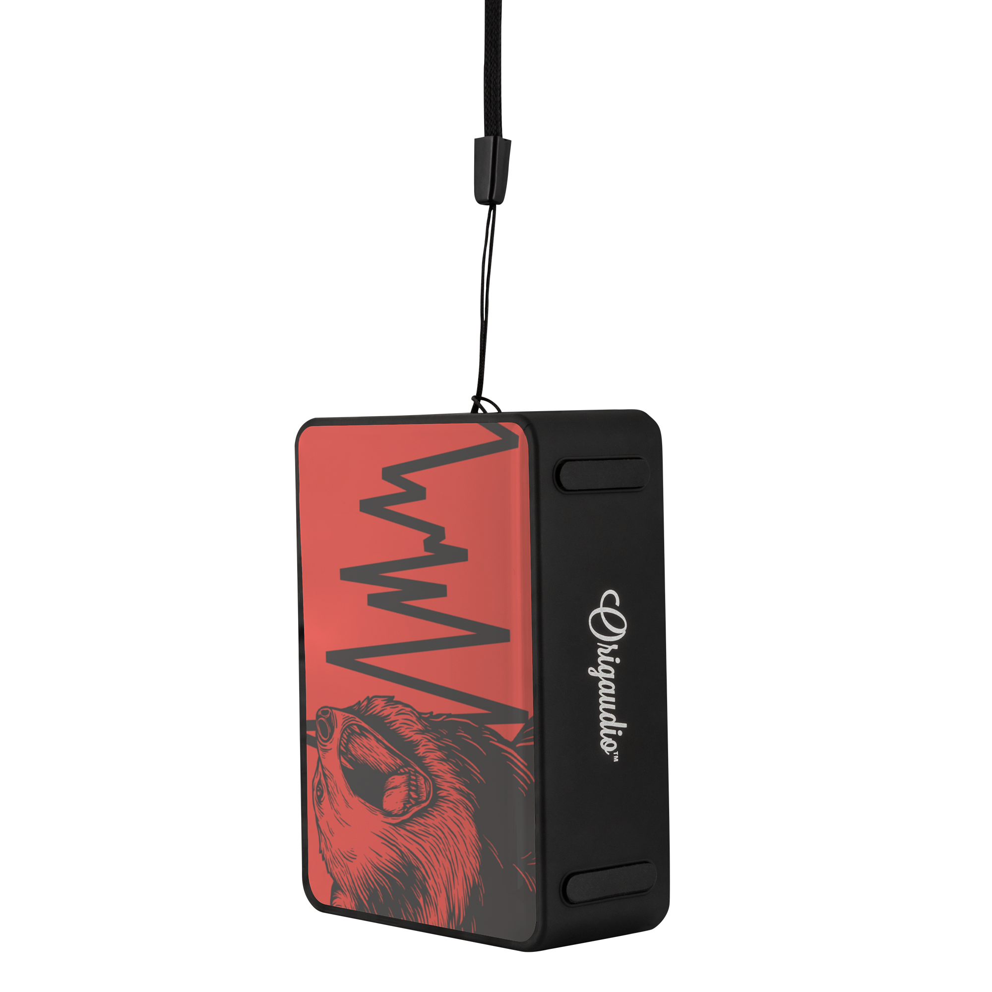Bluetooth Speaker - Boxanne / Bear Down