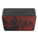 Bluetooth Speaker - Boxanne / Bear Down