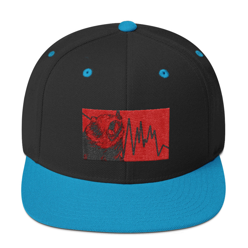 Snapback Hat - Bear Down - 0