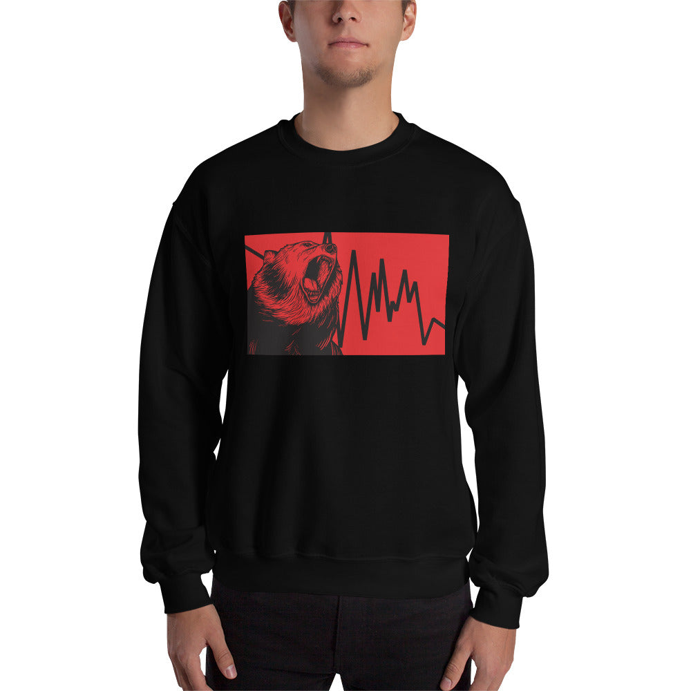 Sweatshirt - Bear Down - 0