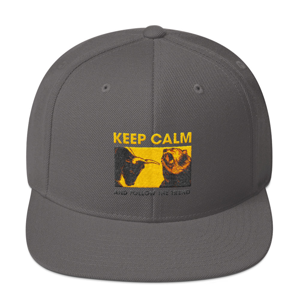 Snapback Hat - Follow the trend