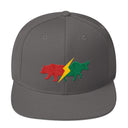 Snapback Hat - Bear & Bull
