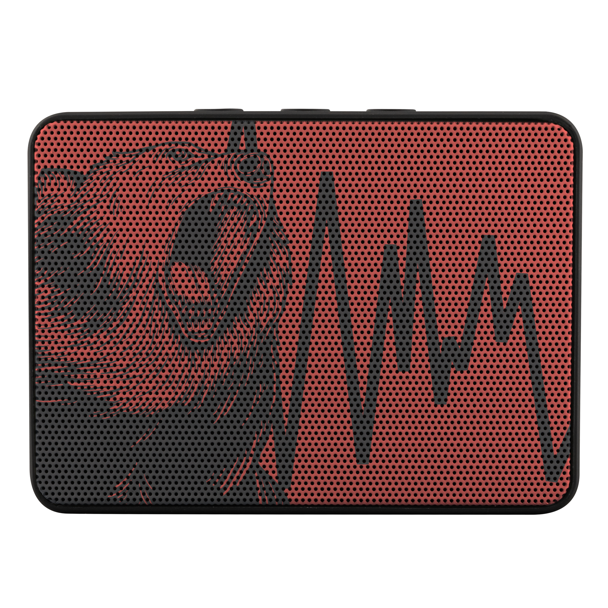 Bluetooth Speaker - Boxanne / Bear Down
