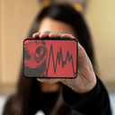 Bluetooth Speaker - Boxanne / Bear Down